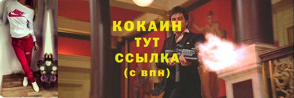 МДПВ Осинники