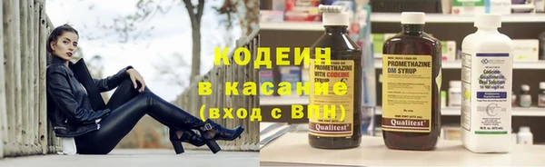 молекула духа Няндома