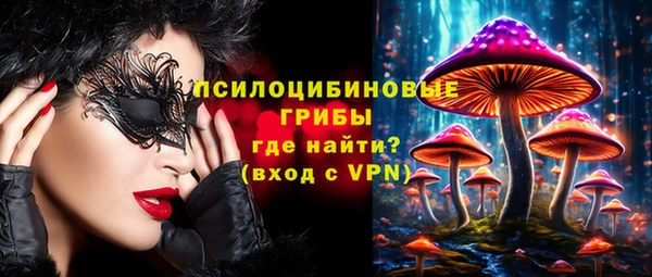 МДПВ Осинники