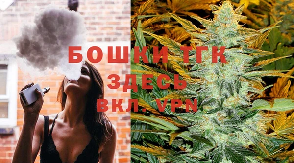 твердый Куртамыш