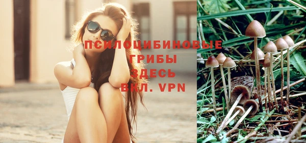 ешки Осташков