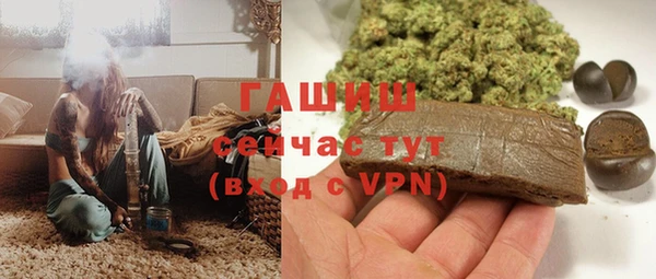эйфоретик Ельня